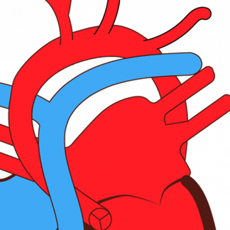 Kurse Arterielle Hypertonie